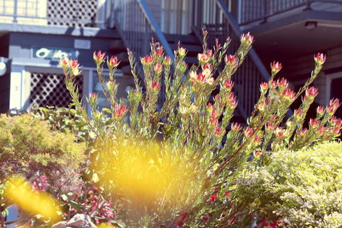 The Sands Holiday Apartments - Darwin Holiday 4