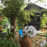 PK Illusions - Darwin Holiday 0