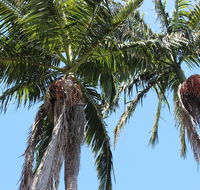 Tri Byron Bay - Darwin Holiday