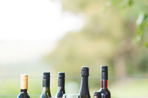 Borrodell Vineyard - Darwin Holiday 4