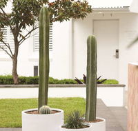 Adina Apartment Hotel Chippendale - Darwin Holiday