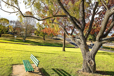 Comfort Inn City Centre Armidale - Darwin Holiday 17