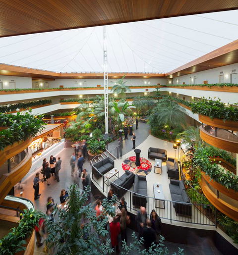 Pavilion on Northbourne - Darwin Holiday 11