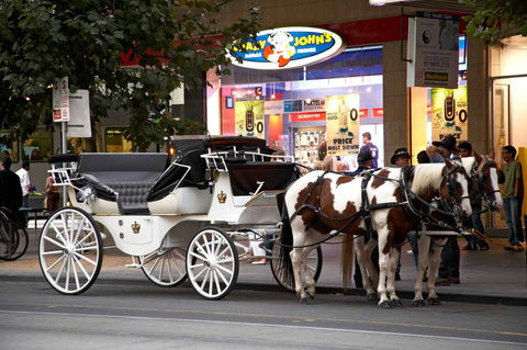 Ibis Styles Kingsgate Hotel - Darwin Holiday 16