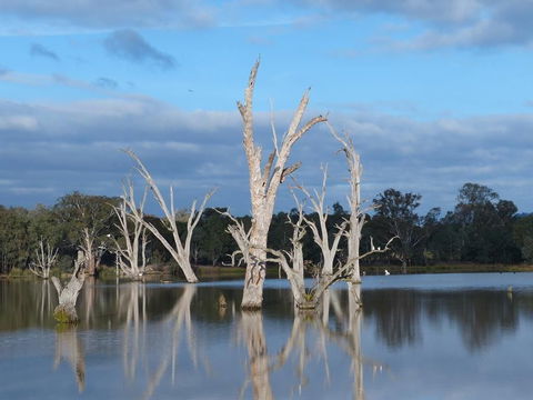 Meramie Motor Inn - Darwin Holiday 17