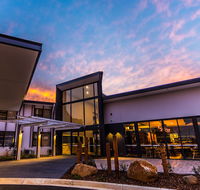 The Remington Orange - Darwin Holiday