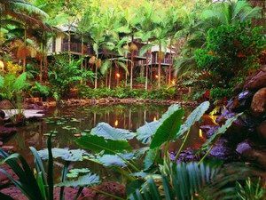 Daintree Eco Lodge & Spa - Darwin Holiday 0