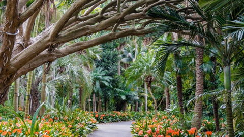 InterContinental Sydney - Darwin Holiday 16