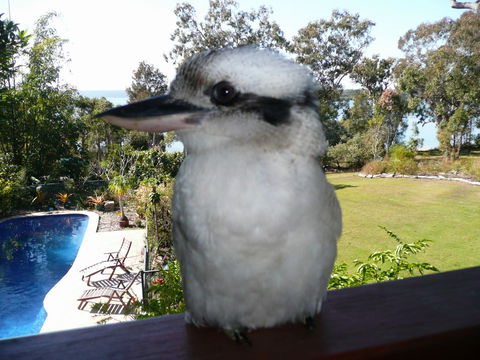 Yarrandabbi Dreaming Boutique B&B - Darwin Holiday 2