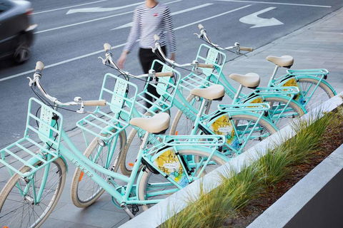 The Chen - Art Series - Darwin Holiday 12