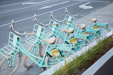 The Chen - Art Series - Darwin Holiday 13