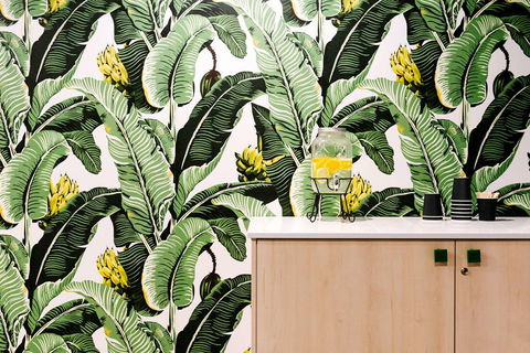 Veriu Randwick - Darwin Holiday 3