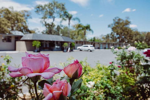 Artesian Spa Motor Inn - Darwin Holiday 2