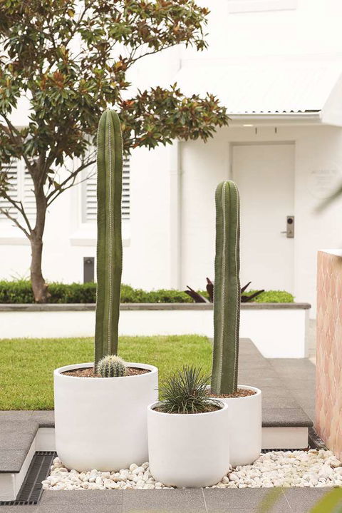 Adina Apartment Hotel Chippendale - Darwin Holiday 0