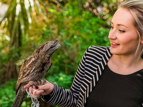 Mount Lofty House - Darwin Holiday 1
