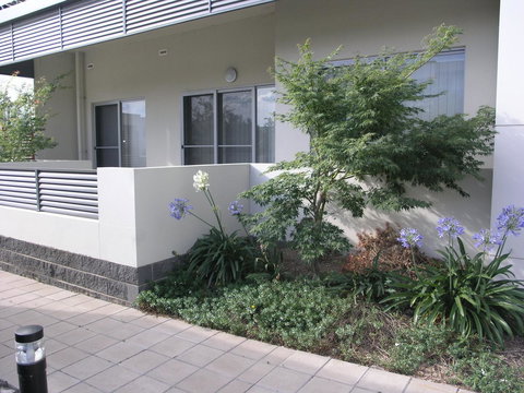 Kesh At Aamira - Darwin Holiday 16