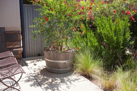 One Of A Kind Apartments - Darwin Holiday 15