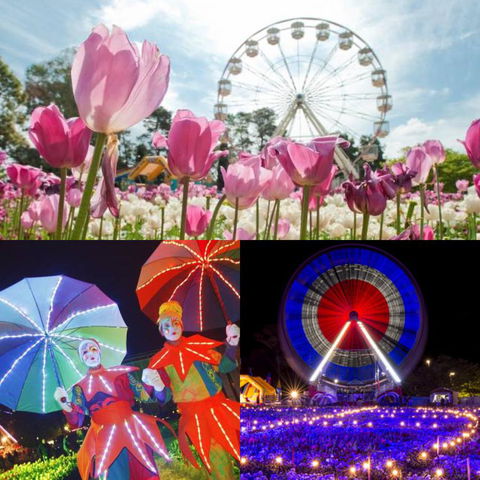 Modern Executive Apt@Barton*1BR*WiFi*Gym*Secure Parking*Canberra - Darwin Holiday 28