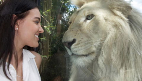 Modern Executive Apt@Barton*1BR*WiFi*Gym*Secure Parking*Canberra - Darwin Holiday 30