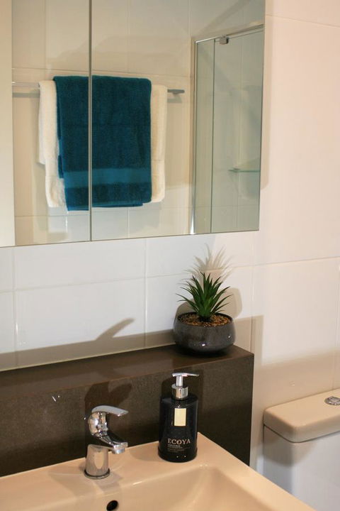 Modern Executive Apt@Barton*1BR*WiFi*Gym*Secure Parking*Canberra - Darwin Holiday 13