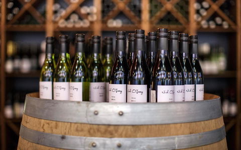 Quality Hotel Dickson - Darwin Holiday 19