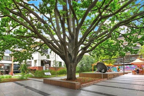 Canberra Luxury Apartment 3 - Darwin Holiday 29