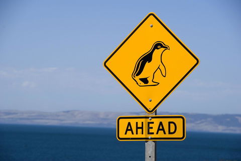 Kangaroo Island Seafront - Darwin Holiday 43