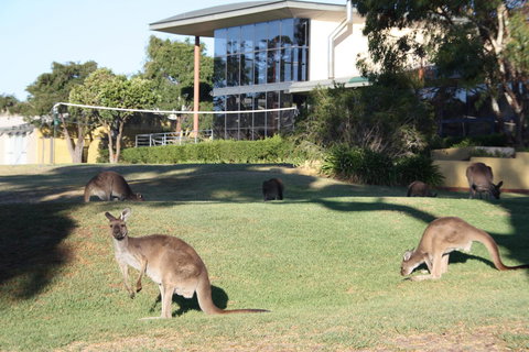 BreakFree Wirrina Cove - Darwin Holiday 28