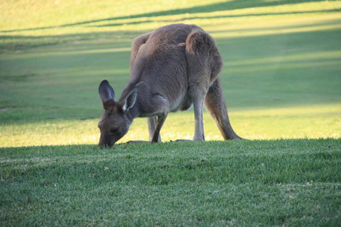 BreakFree Wirrina Cove - Darwin Holiday 24
