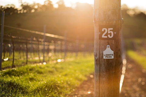 The Louise - Darwin Holiday 44