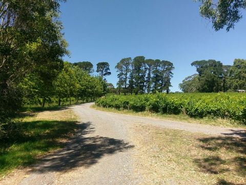 Lost In The Vines - Darwin Holiday 28