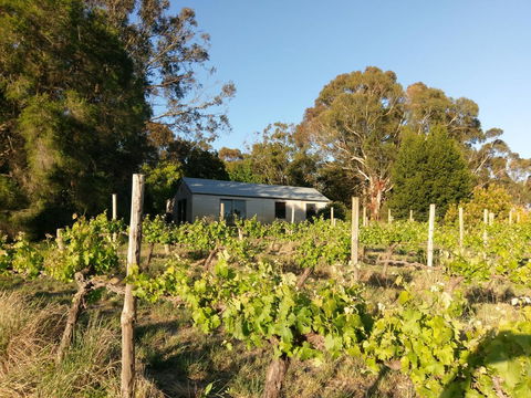 Lost In The Vines - Darwin Holiday 25