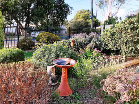 Beautiful Garden House - Darwin Holiday 21
