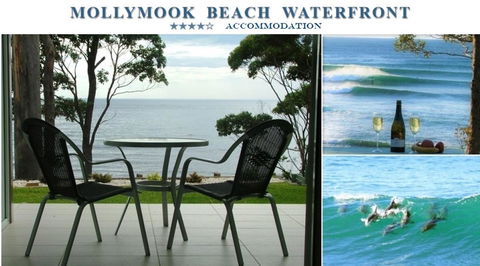 Mollymook Beach Waterfront - Darwin Holiday 1