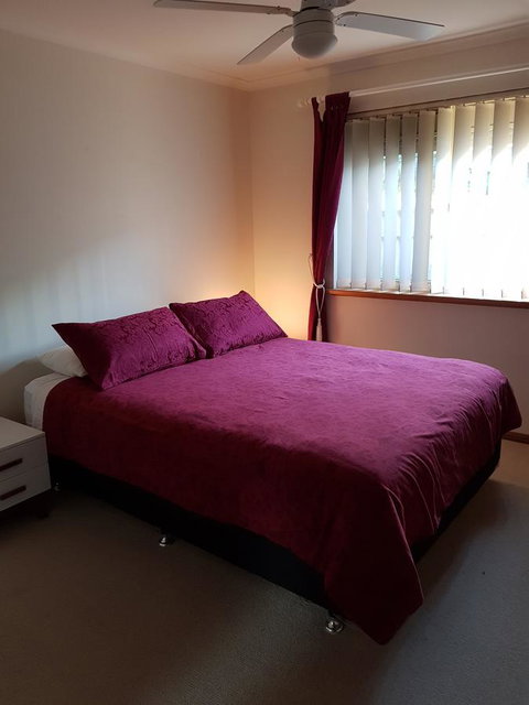 Frog Song At Willunga - Darwin Holiday 3