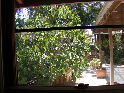 Trevalia Accommodation - Darwin Holiday 4