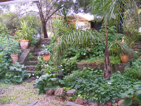 Trevalia Accommodation - Darwin Holiday 12