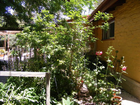 Trevalia Accommodation - Darwin Holiday 7