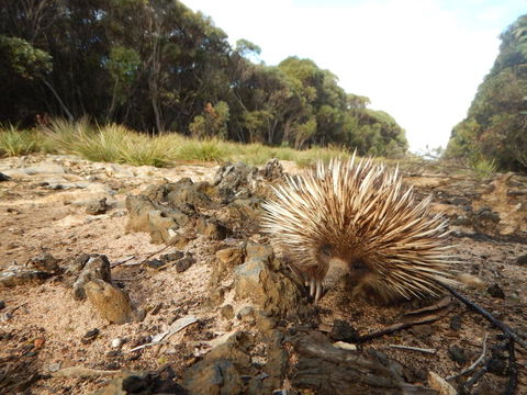 Kangaroo Island Wilderness Retreat - Darwin Holiday 20