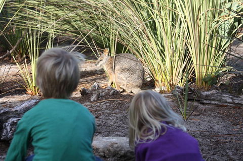 Kangaroo Island Wilderness Retreat - Darwin Holiday 30