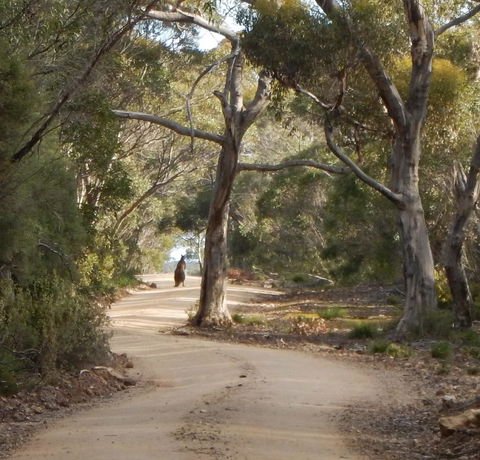 Kangaroo Island Wilderness Retreat - Darwin Holiday 22