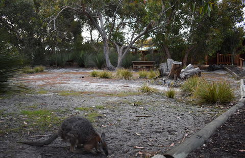 Kangaroo Island Wilderness Retreat - Darwin Holiday 1
