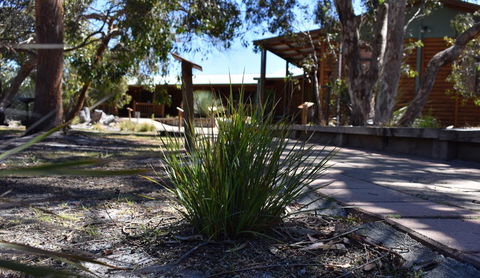 Kangaroo Island Wilderness Retreat - Darwin Holiday 21