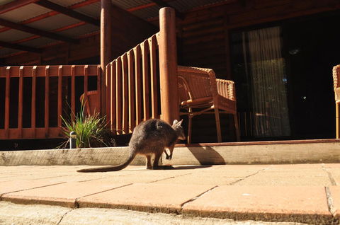 Kangaroo Island Wilderness Retreat - Darwin Holiday 9