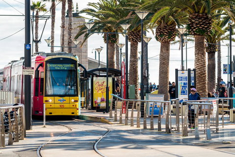 Luxury Beachside Accomodation - Darwin Holiday 24