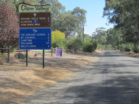 Molly's Chase - Darwin Holiday 29