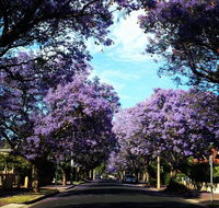 Monaco Court Apartment Adelaide - Darwin Holiday