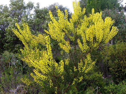 Kestrel Downs - Darwin Holiday 26