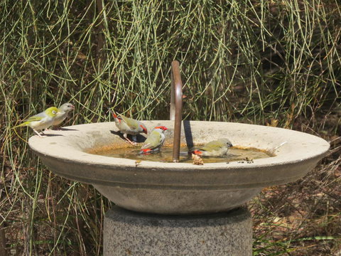 Kestrel Downs - Darwin Holiday 24