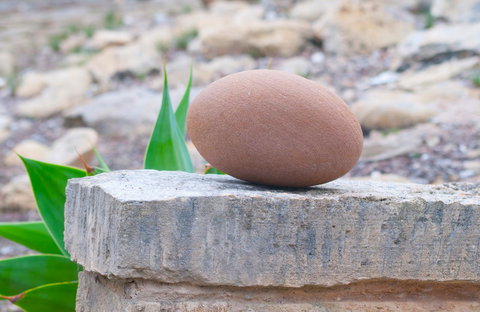 Kestrel Downs - Darwin Holiday 30